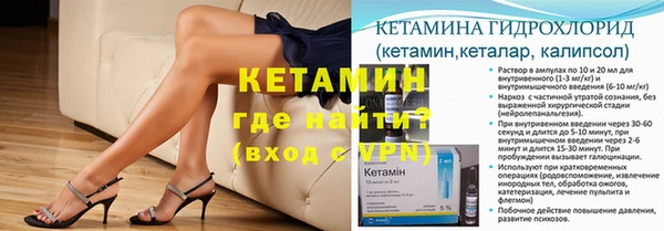 крисы Баксан