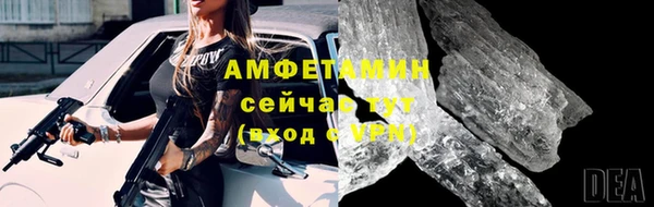 крисы Баксан