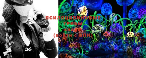 ГАЛЛЮЦИНОГЕННЫЕ ГРИБЫ Балахна