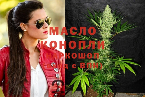 индика Семёнов