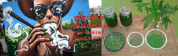 крисы Баксан