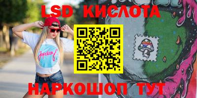 эйфоретик Владимир