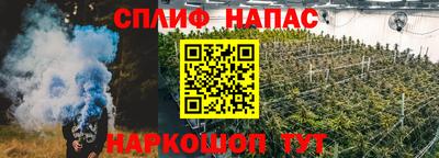 эйфоретик Владимир