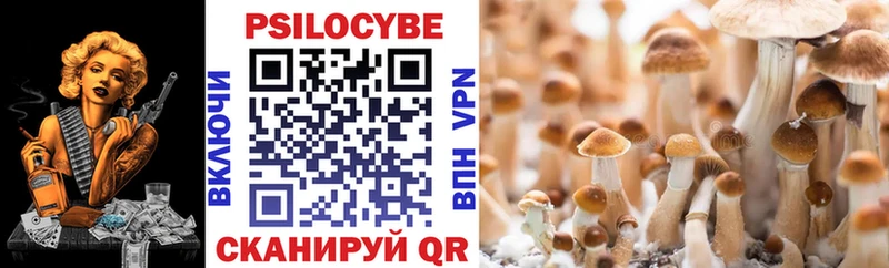 дарк нет официальный сайт  как найти   Борисоглебск  Галлюциногенные грибы Psilocybine cubensis 