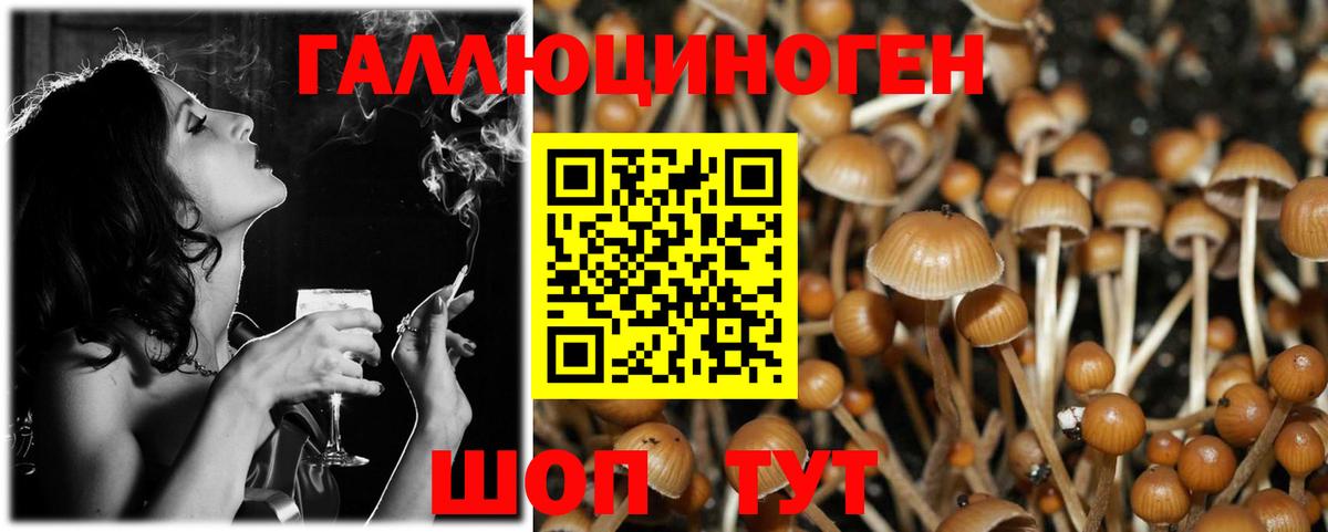 Борисоглебск  Псилоцибиновые грибы GOLDEN TEACHER  Вход с VPN  Псилоцибиновые грибы Cubensis 