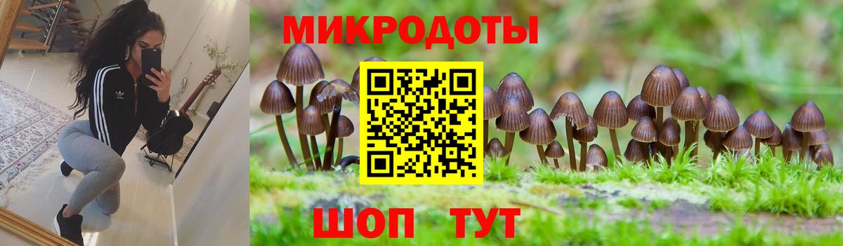 Галлюциногенные грибы GOLDEN TEACHER Борисоглебск